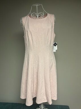 NWT Sandra Darren Blush Pink Embossed Midi Dress